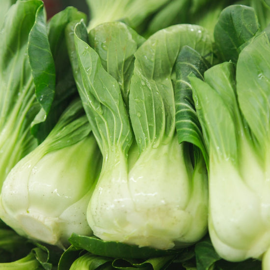 WABU Shanghai Pak Choi A Peser Kg