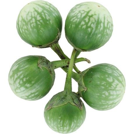 [2071] NATURINDA Aubergine vert Thai A Peser