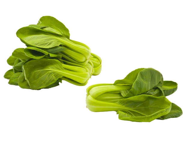 Frais- WABU Shanghai Mini Pak Choi Par KG