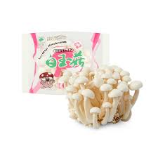 [C006-11] MAO XIONG Champignons Shiitake 150GR